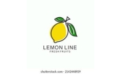 FRESH SUGAR LEMON