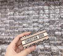 HỘP ĐỰNG SON DIOR ( BẢN GIỚI HẠN DA BEO ) 