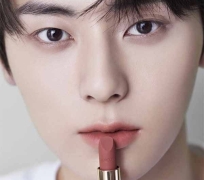 SON LANCOME 3.4G 274 BẢN GIỚI HẠN 